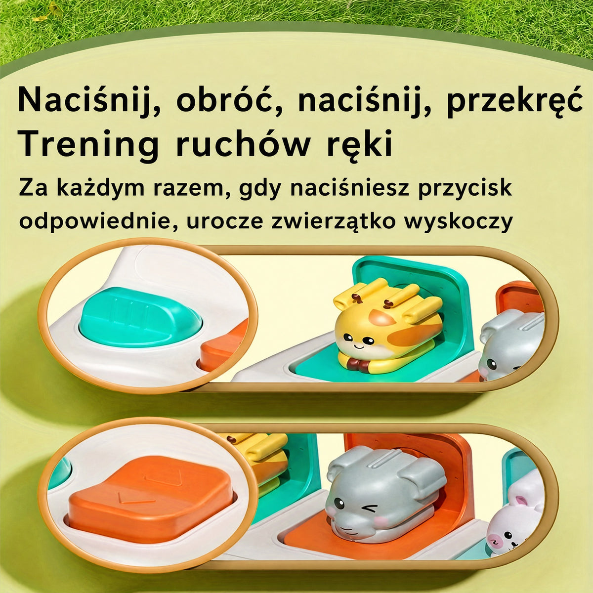g_S82e93081b86241258ce7cbfb749046c3g