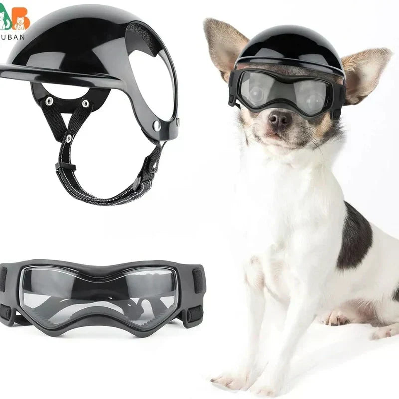 Kask dla psa z okularami ochronnymi