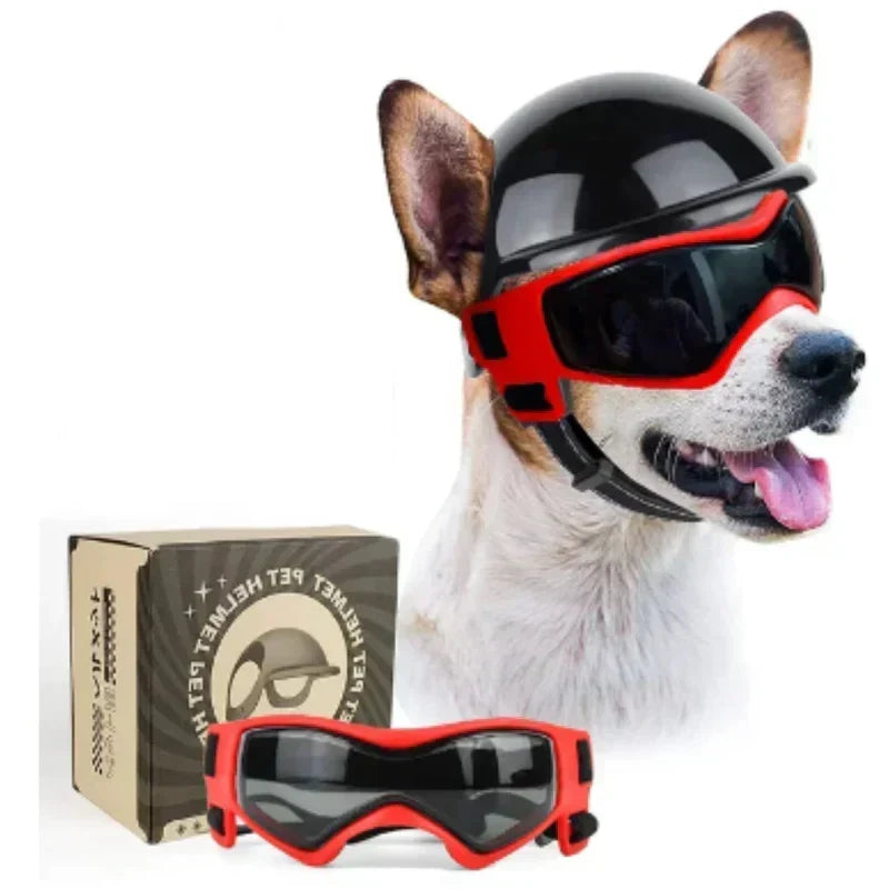 Kask dla psa z okularami ochronnymi