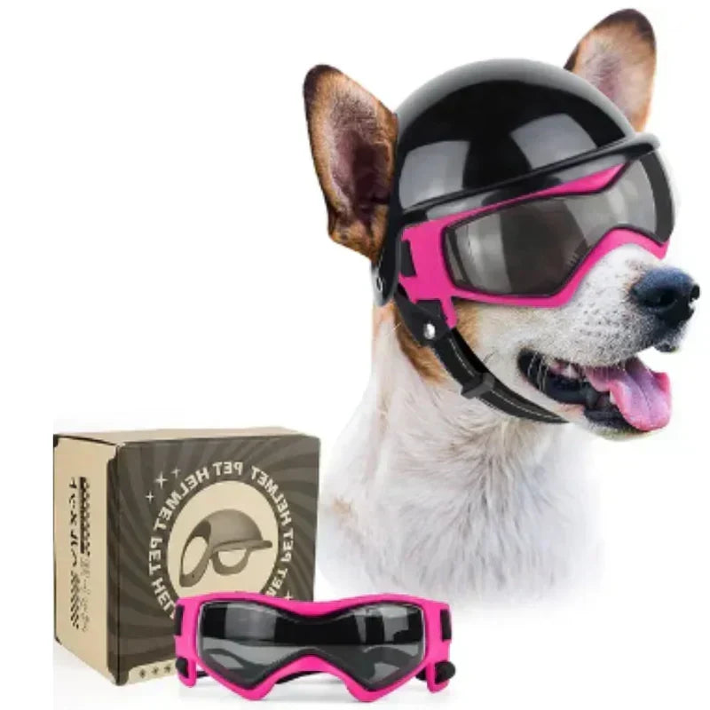 Kask dla psa z okularami ochronnymi