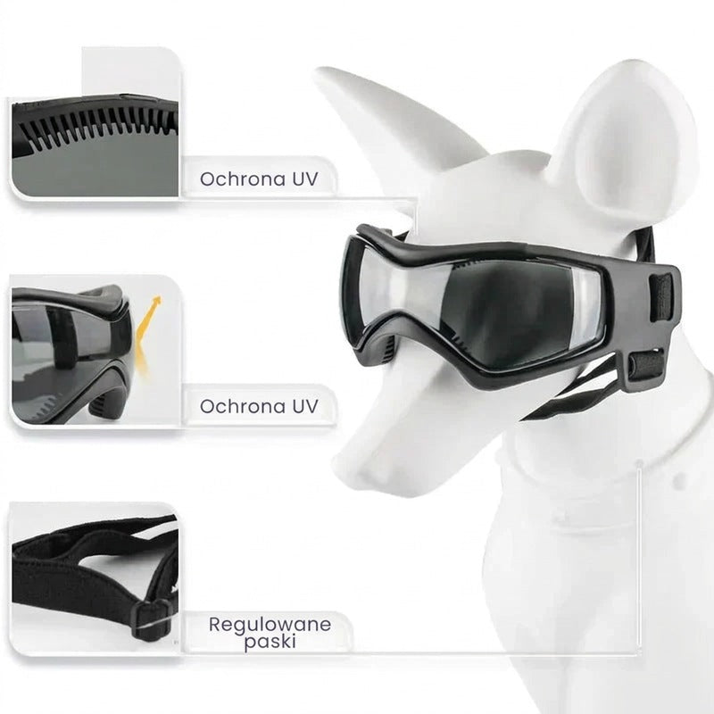 Kask dla psa z okularami ochronnymi
