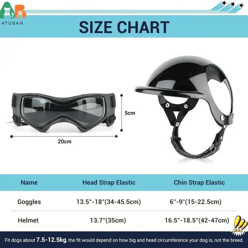 Kask dla psa z okularami ochronnymi