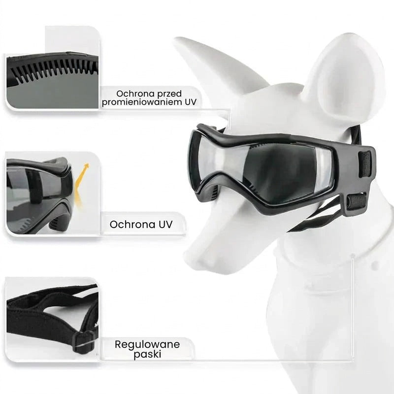 Kask dla psa z okularami ochronnymi