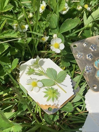 Mini praska do kwiatów – kompaktowe narzędzie do tworzenia botanicznych pamiątek