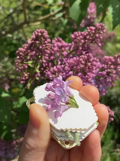 Mini praska do kwiatów – kompaktowe narzędzie do tworzenia botanicznych pamiątek