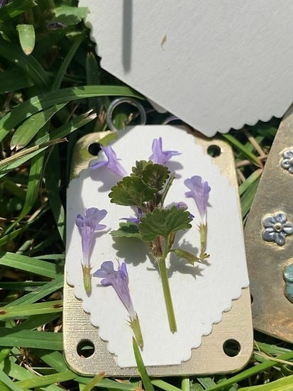 Mini praska do kwiatów – kompaktowe narzędzie do tworzenia botanicznych pamiątek
