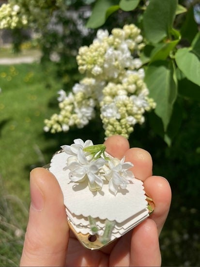 Mini praska do kwiatów – kompaktowe narzędzie do tworzenia botanicznych pamiątek