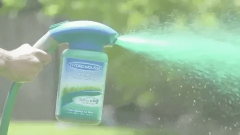 Płynny trawnik Hydro Mousse w sprayu – łatwe zastosowanie na łyse miejsca i tereny o dużym natężeniu ruchu