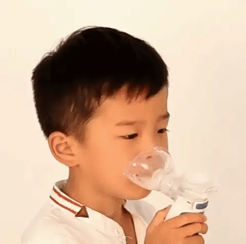 Przenośny ultradźwiękowy inhalator BreezeNova z akumulatorem do domu i podróży