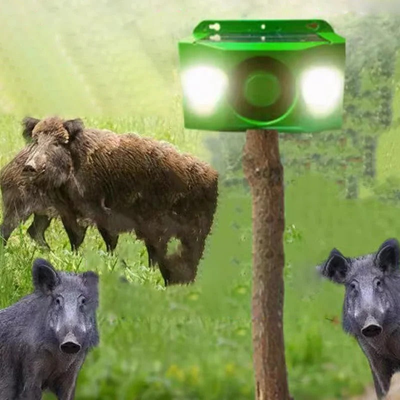 Solarne lampy ostrzegawcze odstraszające zwierzęta