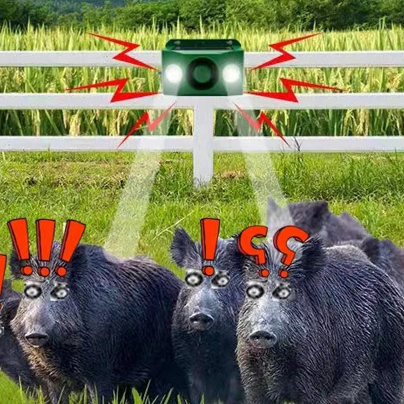 Solarne lampy ostrzegawcze odstraszające zwierzęta