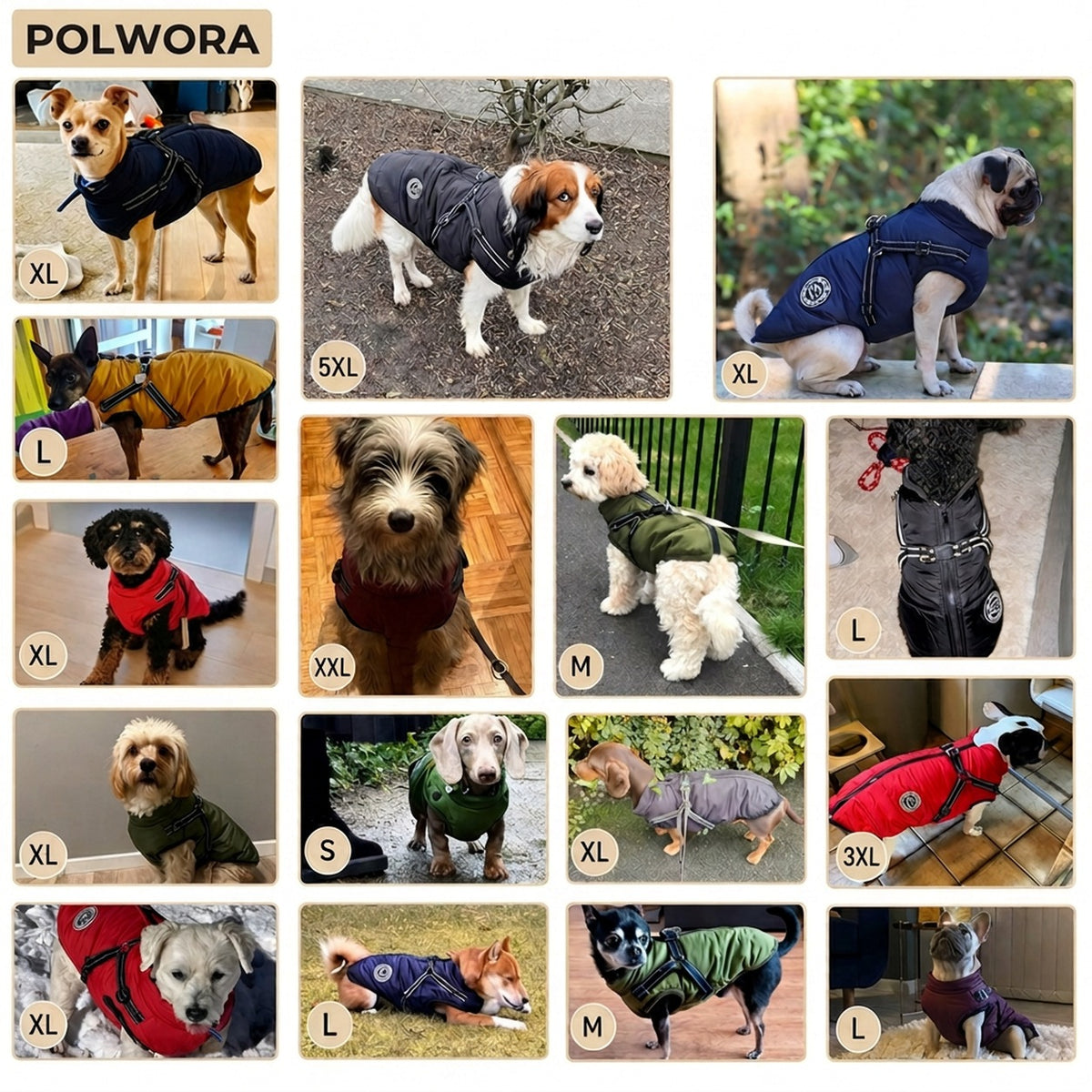 Zimowa kurtka dla psa 3 w 1 – ciepła, wodoodporna, wiatroszczelna z wbudowaną uprzężą